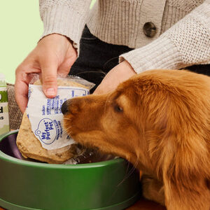 Puppy food with whole meat and balanced nutrition