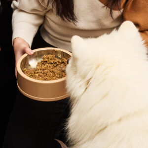 Alternative view of Assorted dog food bars with mixed meat and grain options
