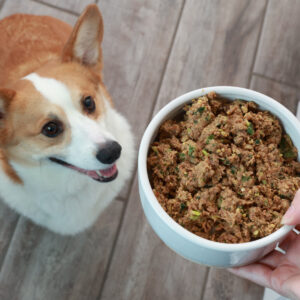 Alternative view of Dog food with whole meat and balanced nutrition