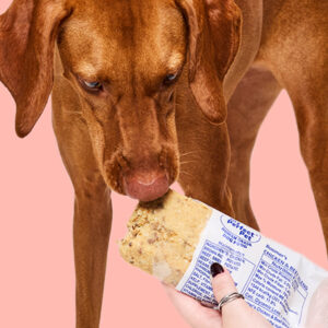 Dog food with whole meat and whole grain rice