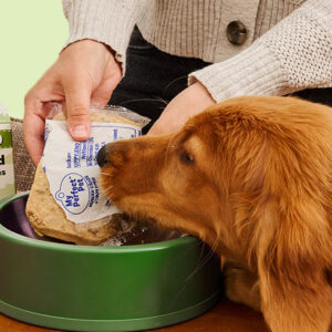 Puppy food with whole meat and balanced nutrition