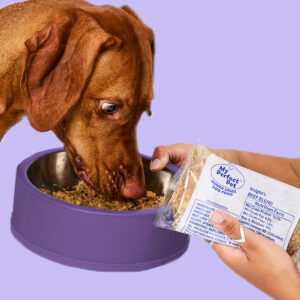 Dog food with whole meat and single protein formula
