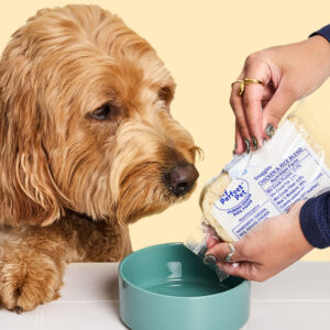 Puppy food with whole meat and balanced nutrition